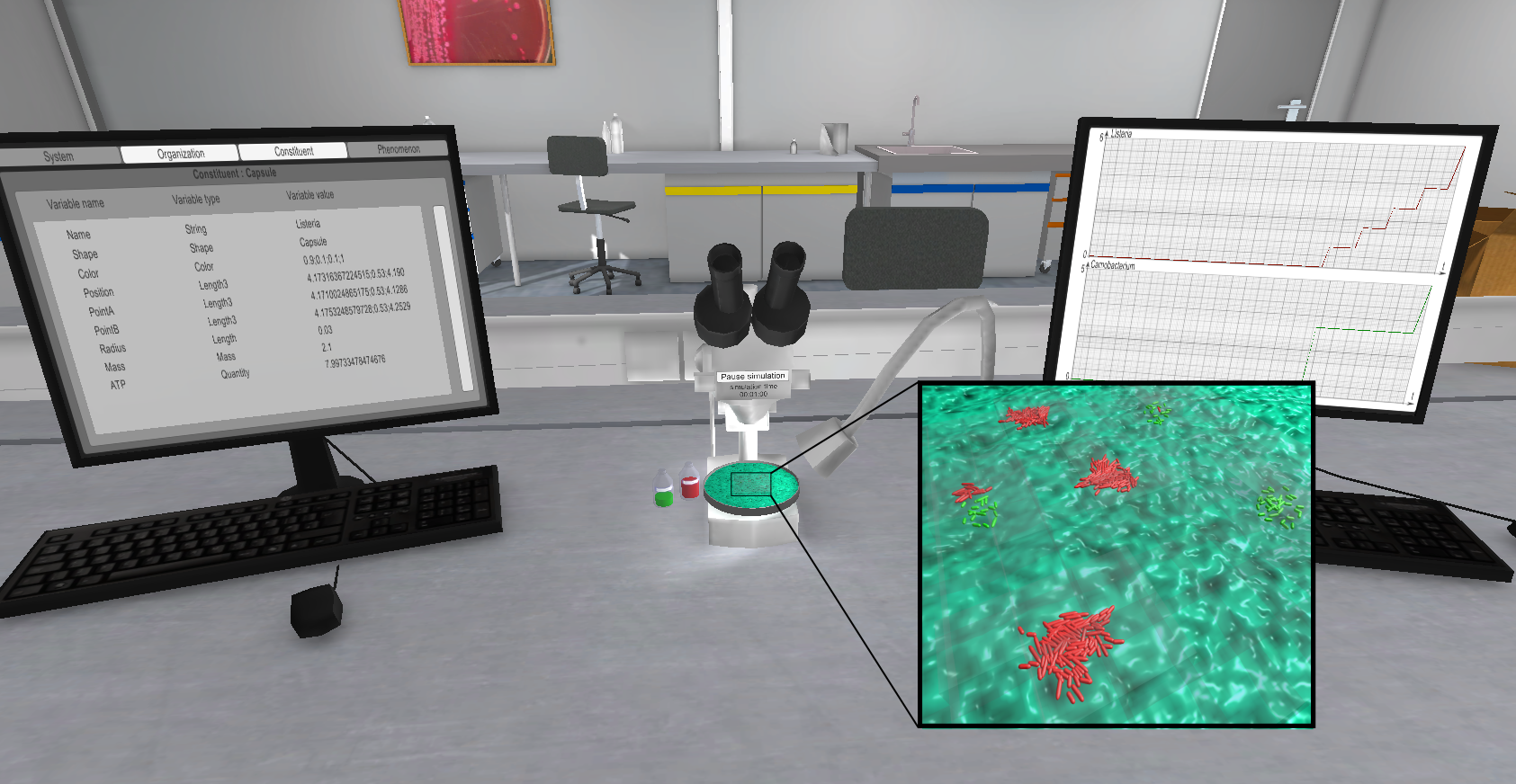 Capture de simulation MISIVI